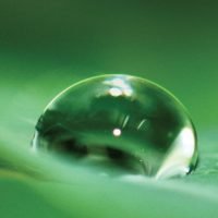 Ekran Resmi 2018-02-22 23.10.18